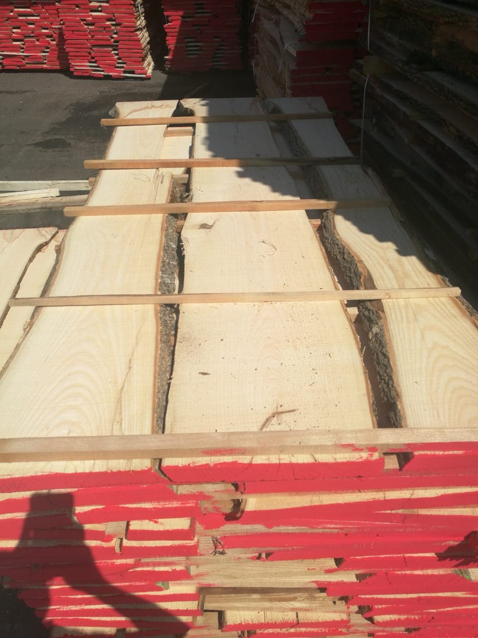 high quality European ash timber