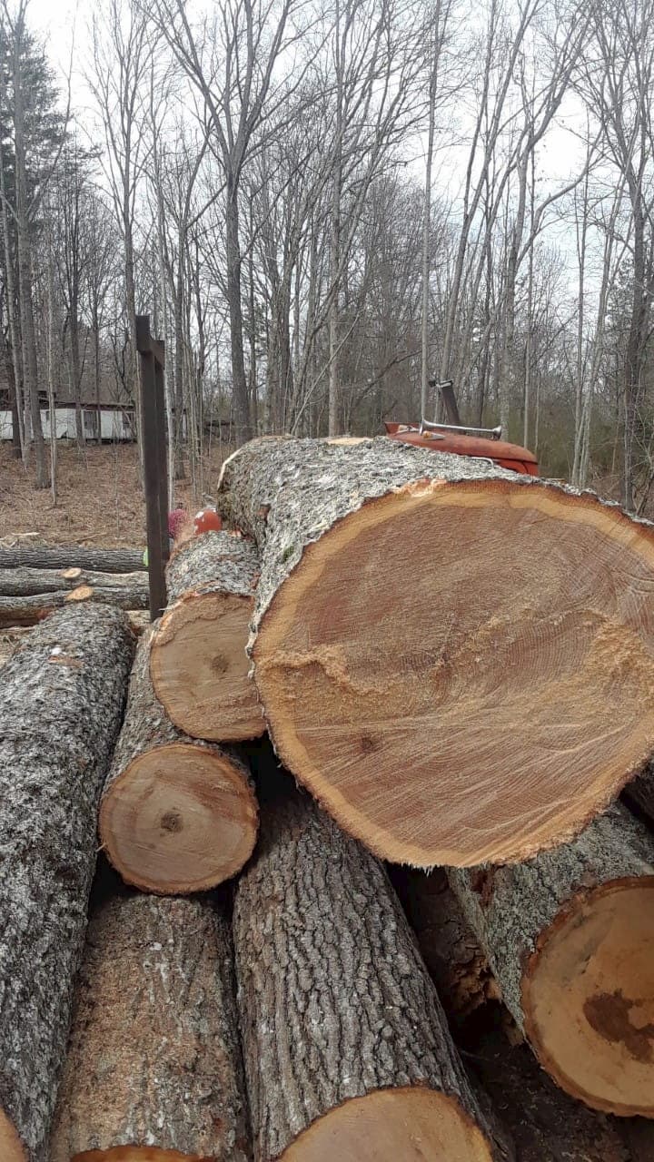 high quality European spruce logs